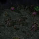 Image for article titled New StarCraft II: Heart of the Swarm Screen Shots, Annotated For Your Pleasure